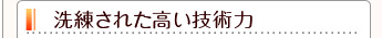 洗練された高い技術